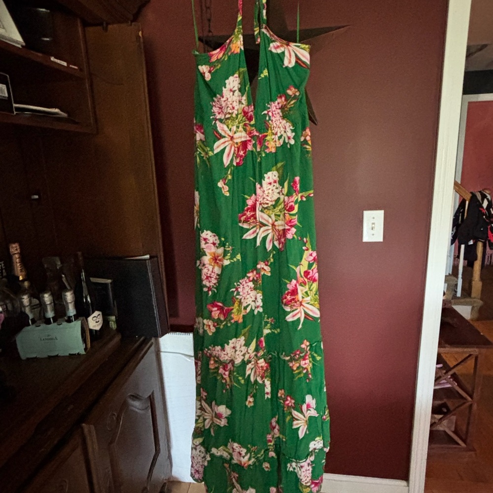 Express Green Floral Maxi Dress